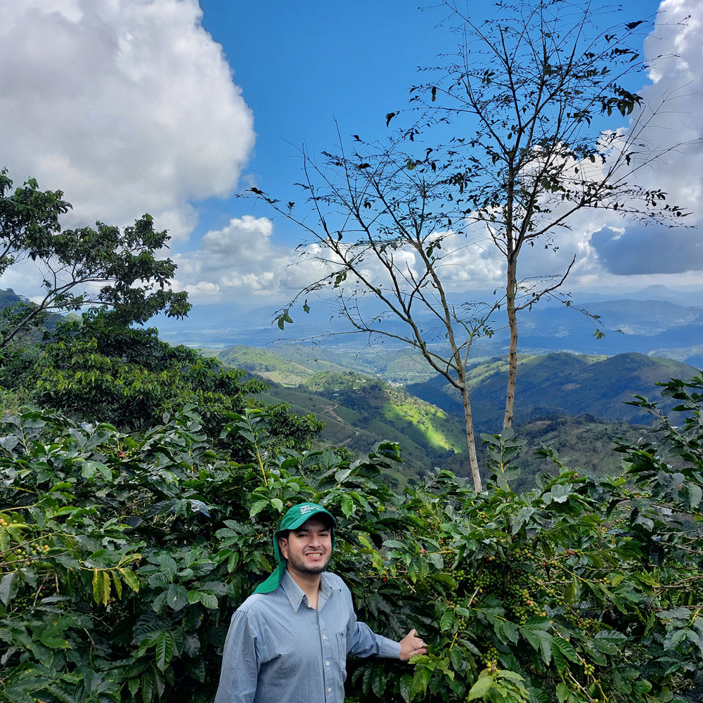 Mezcla de Espresso Hondureño – Café de Especialidad de Tueste Medio-Oscuro