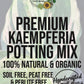 Kaempferia Ginger Premium Potting Mix