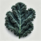 Kale (Mamba) Seeds (4x)