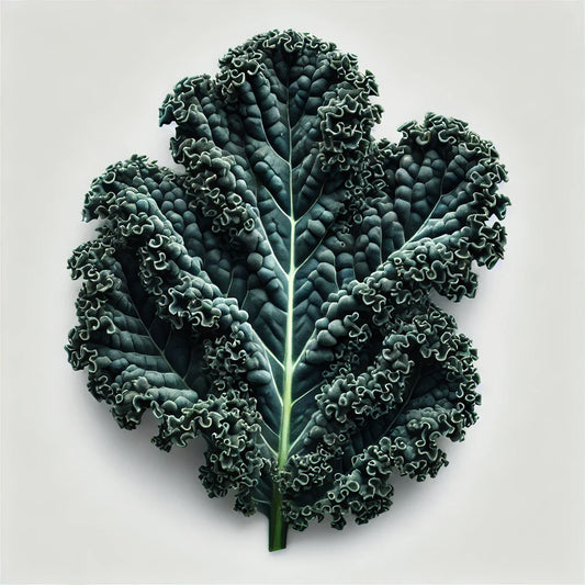 Kale (Mamba) Seeds (4x)