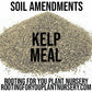 Kelp Meal Soil Amendment