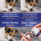 Piccardmeds4pets Keto-Itch Plus Antiseptic Mousse for Cats & Dogs 7 oz. + FREE Bandana!
