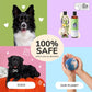 Kin+Kind Flea & Tick Dog Shampoo – Plant-Based Lavender Treatment, 12 oz
