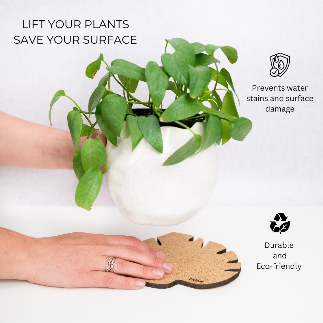 Kostr™ - Monstera Leaf-shaped  cork plant pot coaster