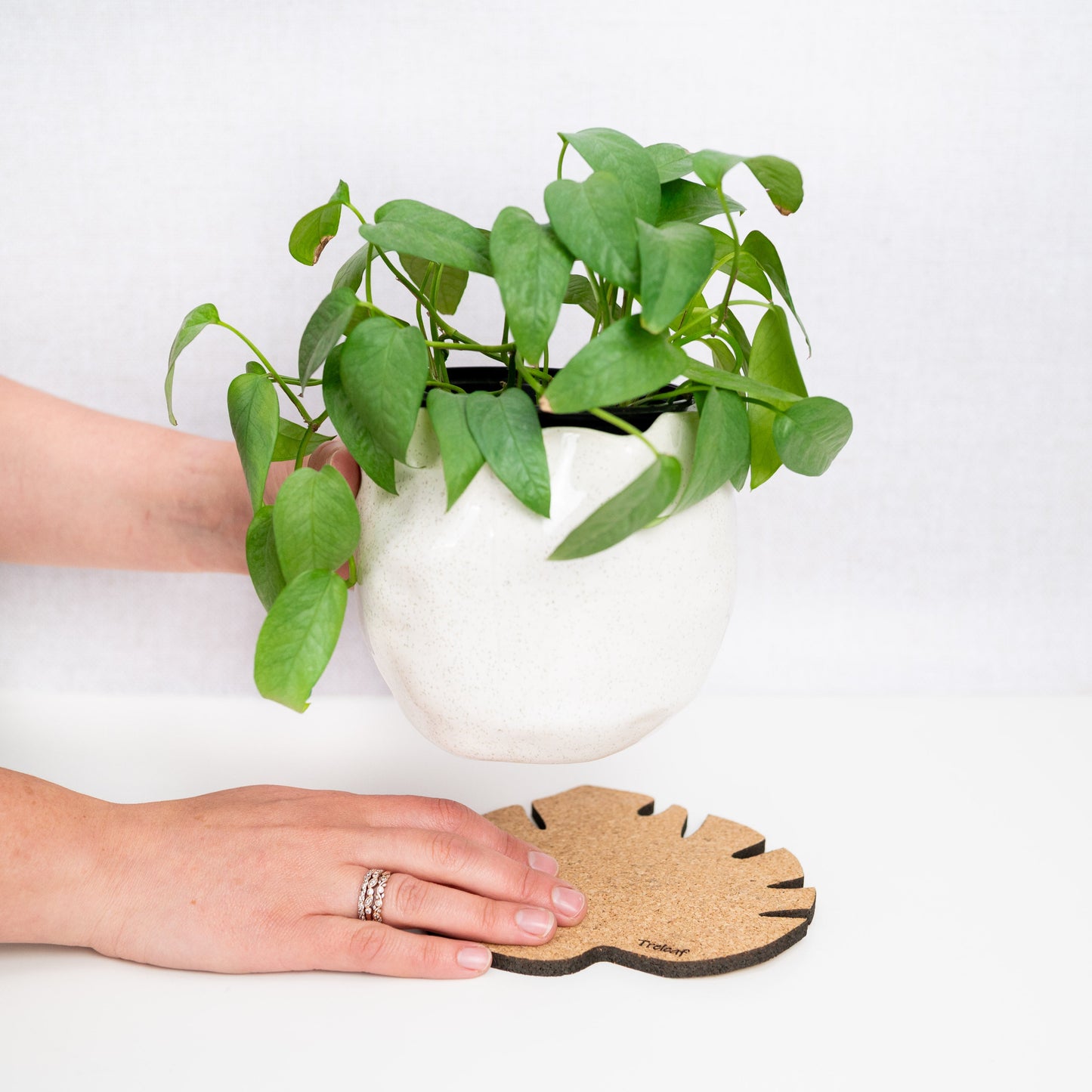 Kostr™ - Monstera Leaf-shaped  cork plant pot coaster