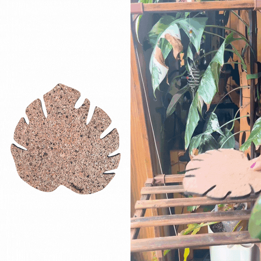 Kostr™ - Monstera Leaf-shaped  cork plant pot coaster