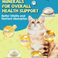 L-Lysine Liquid Drops for Cats Immune & Respiratory Support 2oz Chicken