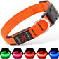 LED Dog Collar Rechargeable Light-Up Safety Collar for Night Walking (colors)