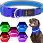 LED Dog Collar USB Rechargeable Light Up Safety Collar - All Colors/ Sizes