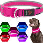 LED Dog Collar USB Rechargeable Light Up Safety Collar - All Colors/ Sizes