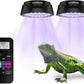 LED Reptile Light w/ Remote – UVA UVB FR Lamp, Timer, Dimmable (Zones 1–4)