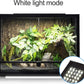 LED Terrarium Light 15W – 3-Mode Day/Night Aquarium Lamp for Reptiles & Fish