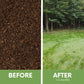 Simple Lawn Fine Fescue Grass Seed