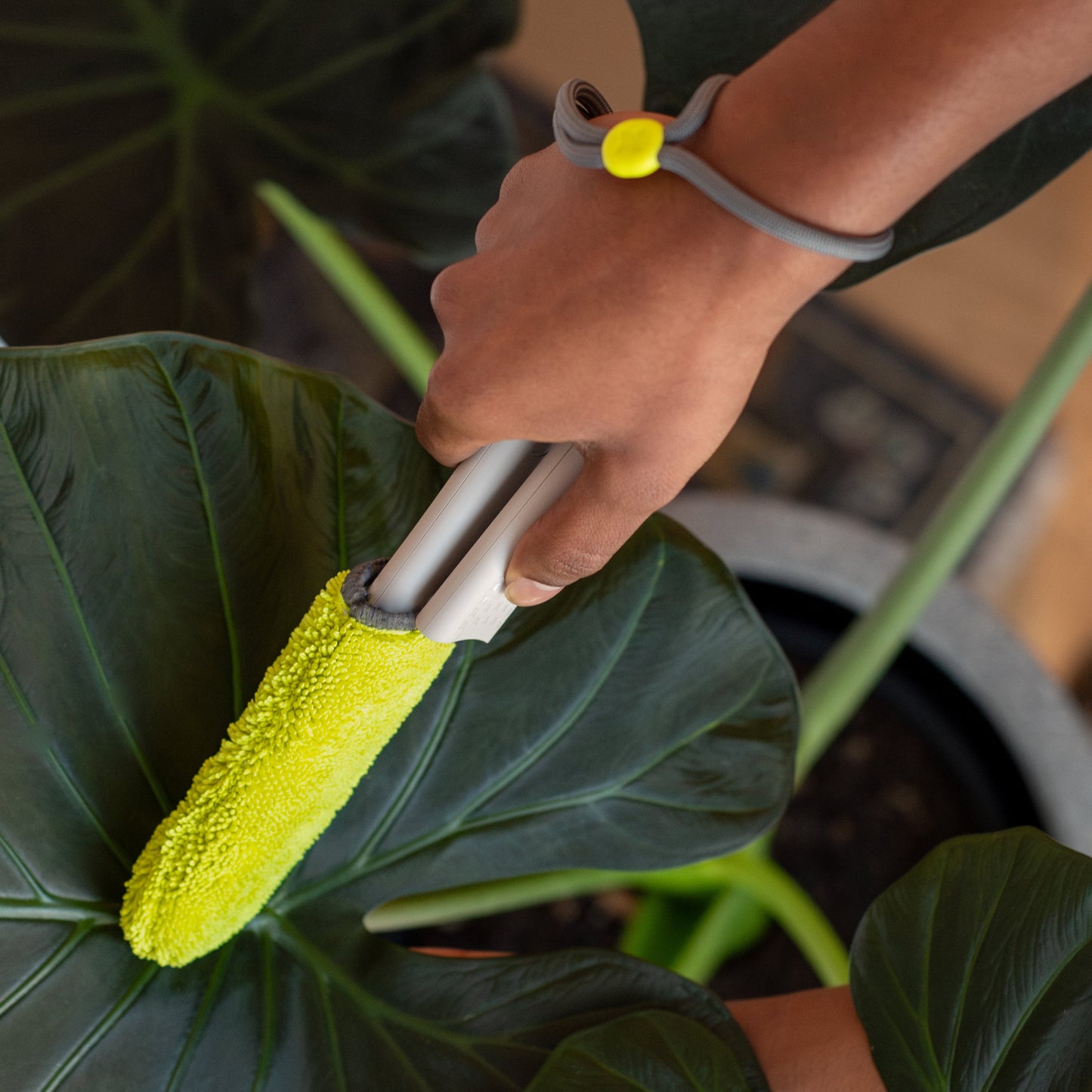 Leaf Sweep™ Plant Cleaning Tool - Starter Kit w/ Combo Covers