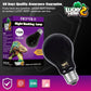 LUCKY HERP Reptile Night Heat Bulb 2 Pack 50W/75W UVA Heat Lamp E26