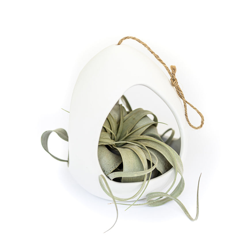 Large White Ceramic Hanging Pod