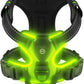 Light-Up LED Dog Harness – Rechargeable No-Pull Vest for Night Walking