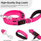 Light Up LED Dog Leash 6FT – USB Rechargeable Glow Leash for Night Safety
