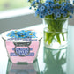 Lil' Bucket of Love - Grow Your Own Forget-Me-Nots Multipack of 3