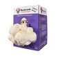 Lil Musheep - Lion's Mane Mushroom Grow Kit - 5 LBS (with box)