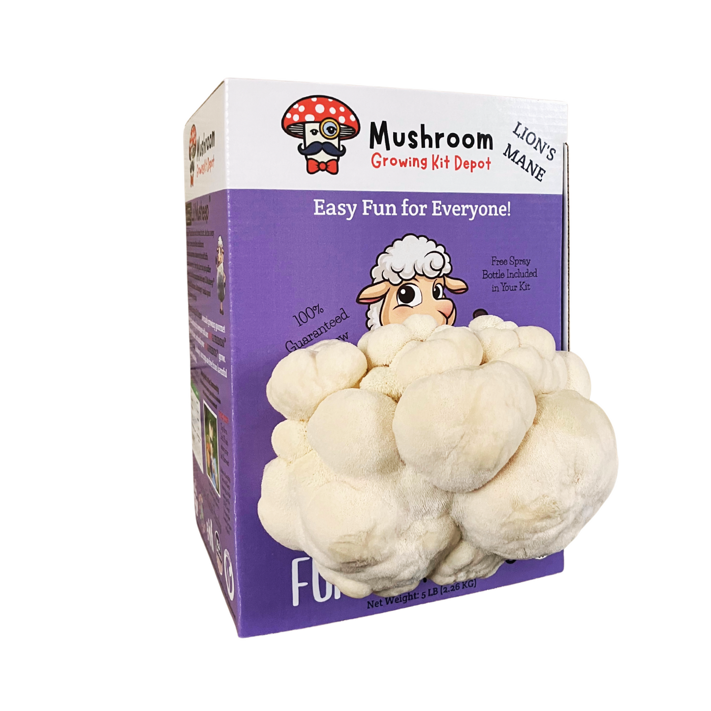 Lil Musheep - Lion's Mane Mushroom Grow Kit - 5 LBS (with box)