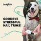 Luckytail Pet Nail Grinder Quiet USB Rechargeable 2 LED 2 Speeds