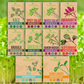 Organic Variety Pack Microgreens Seeds