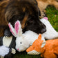 Squooshie™ Fox Plush Dog Toy