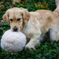 HuggleFleece® Plush Ball Dog Toy