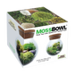 MossBowl- Grow Your Own Beautiful Moss Garden, Complete Kit Come with 3 Mosses!