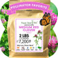 Medium Red Clover Seed