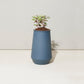 Tapered Tumbler Grow Kits