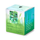 Garden Vibes Candle/Planter 2-in-1