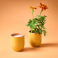 Garden Vibes Candle/Planter 2-in-1