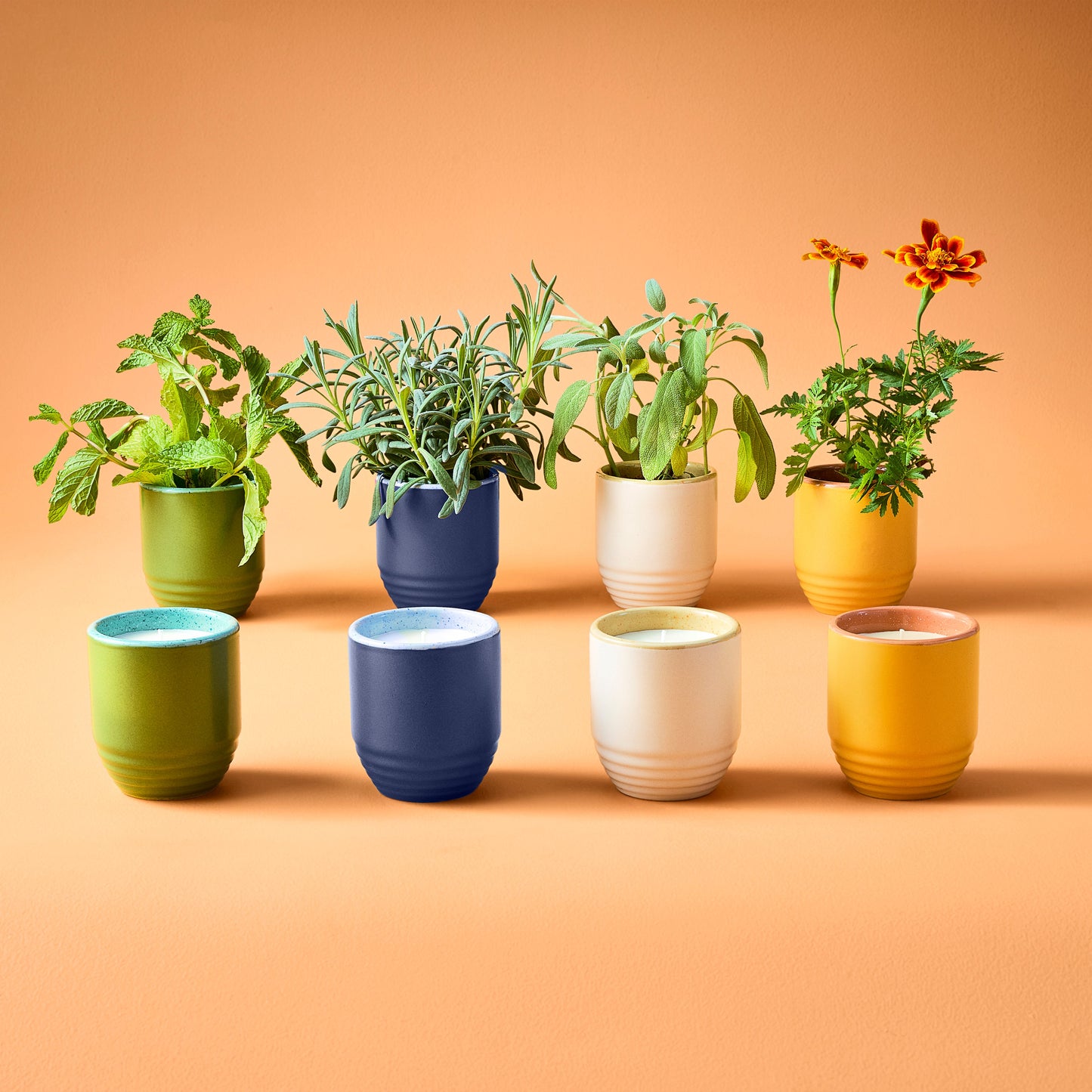 Garden Vibes Candle/Planter 2-in-1