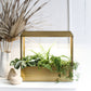 Smart Growhouse