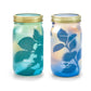 Garden Jars - Organic Herbs