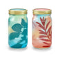 Garden Jars - Organic Herbs