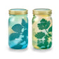 Garden Jars - Organic Herbs
