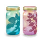 Garden Jars - Organic Herbs