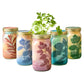 Garden Jars - Organic Herbs