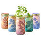 Garden Jars - Organic Herbs