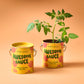 Complimentary Colors Grow Kits