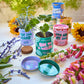 Complimentary Colors Grow Kits