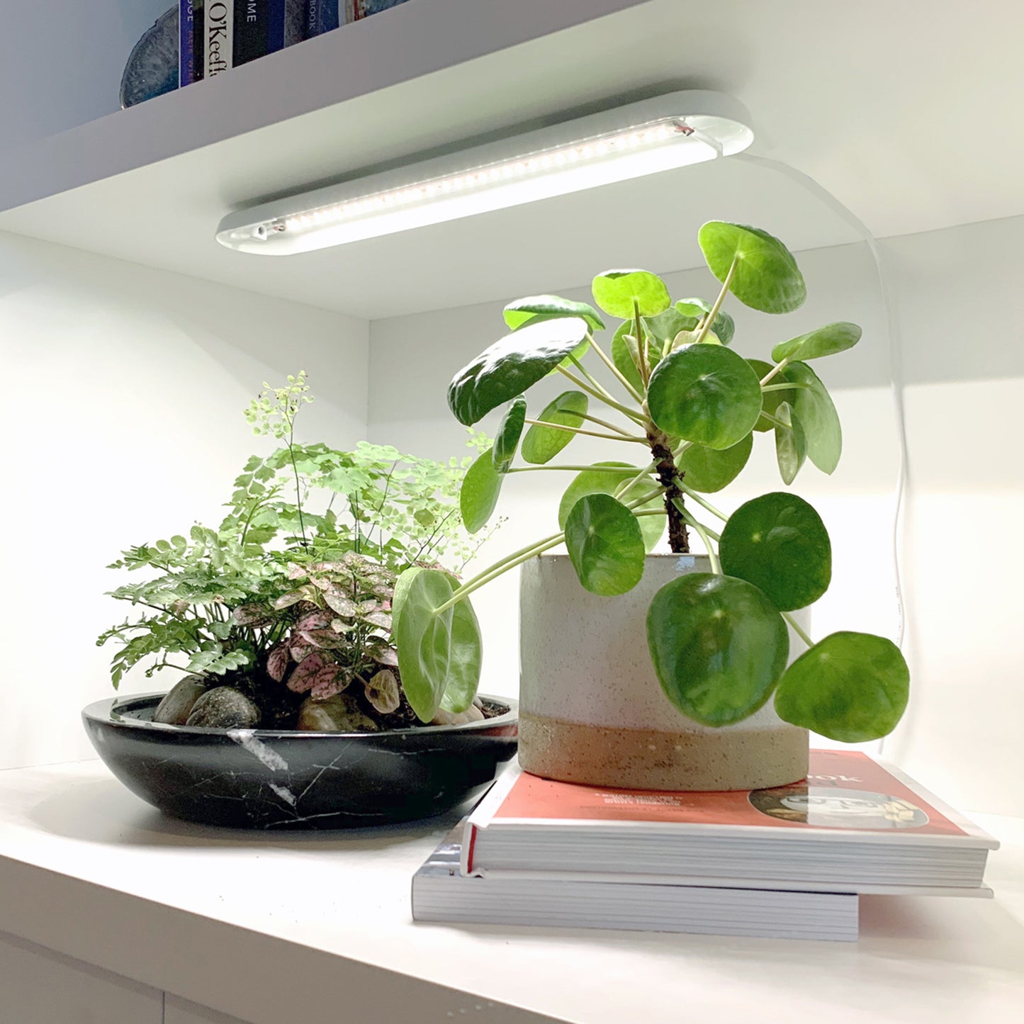 Smart Growbar
