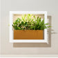 Smart Standard Growframe