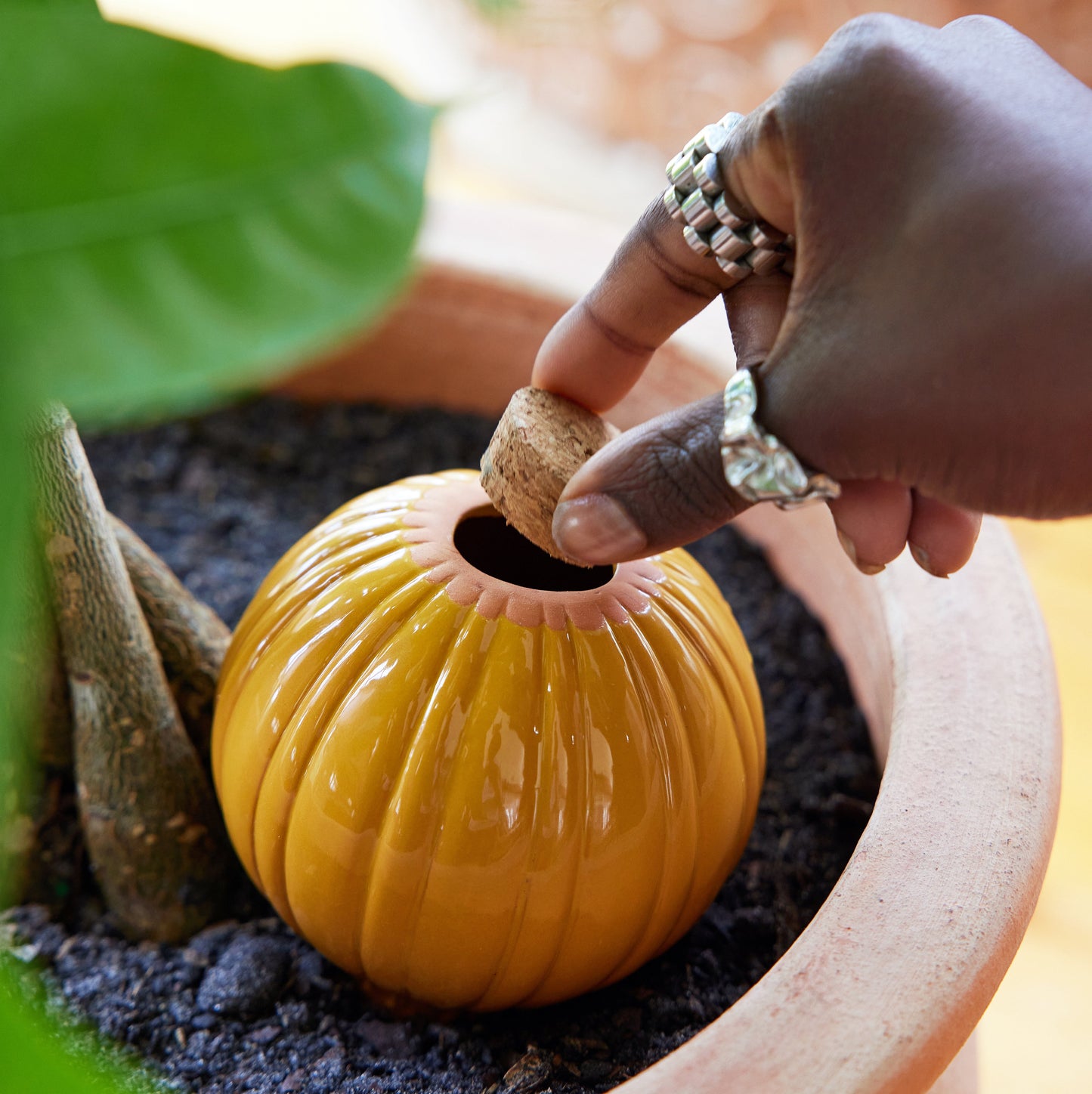 Terracotta Watering Bulbs