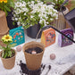 Bespoke Blooms Seed Balls