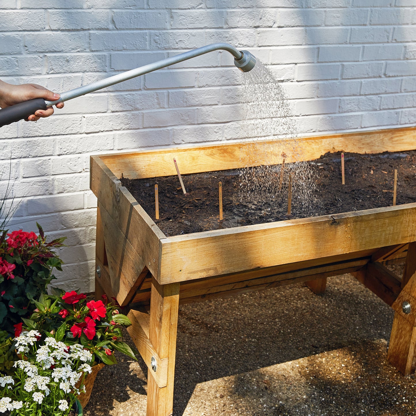 Seed Pops - Pollinator