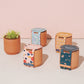 Tiny Terracotta Kits